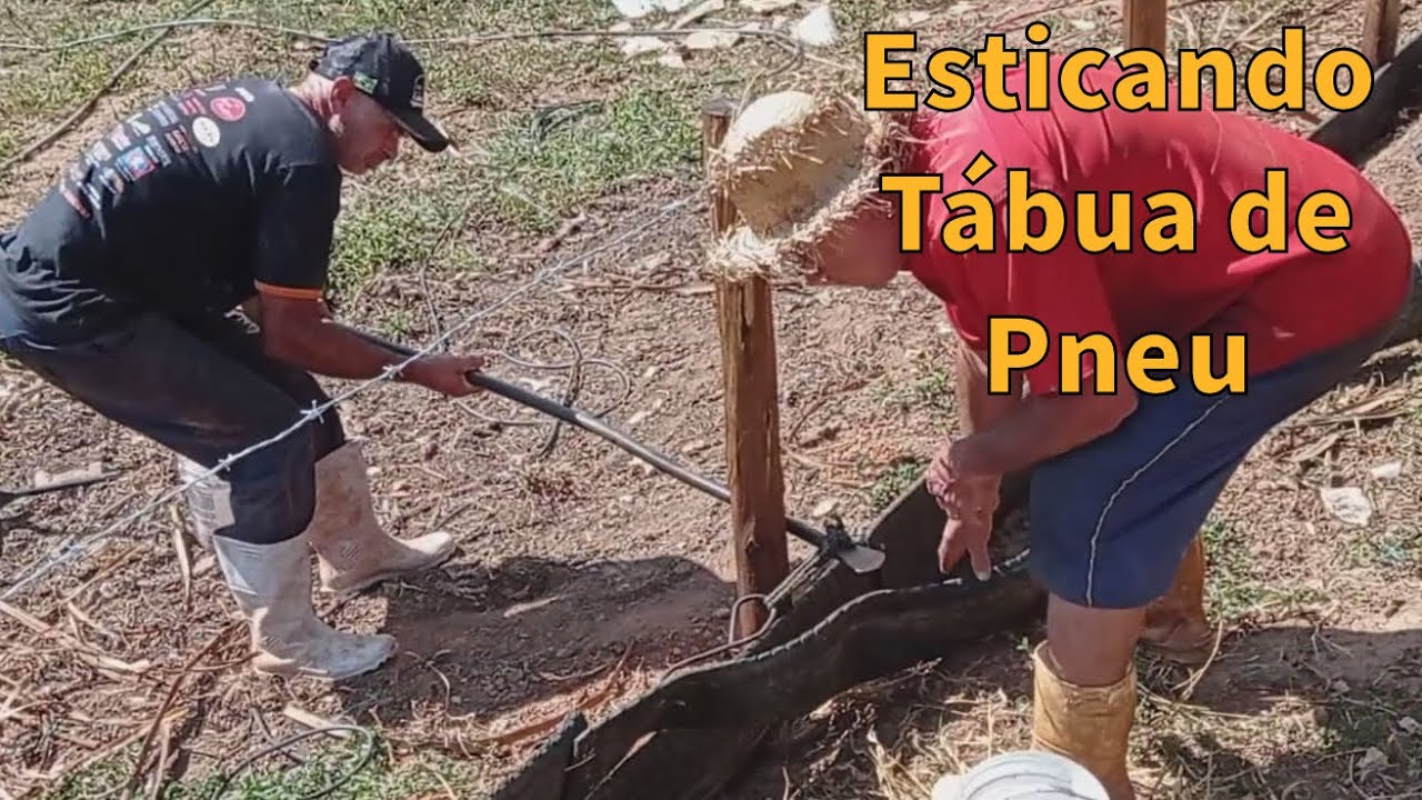 Como fazer mangueiral para os porquinhos, esticando tábua de pneu (PARTE 2)