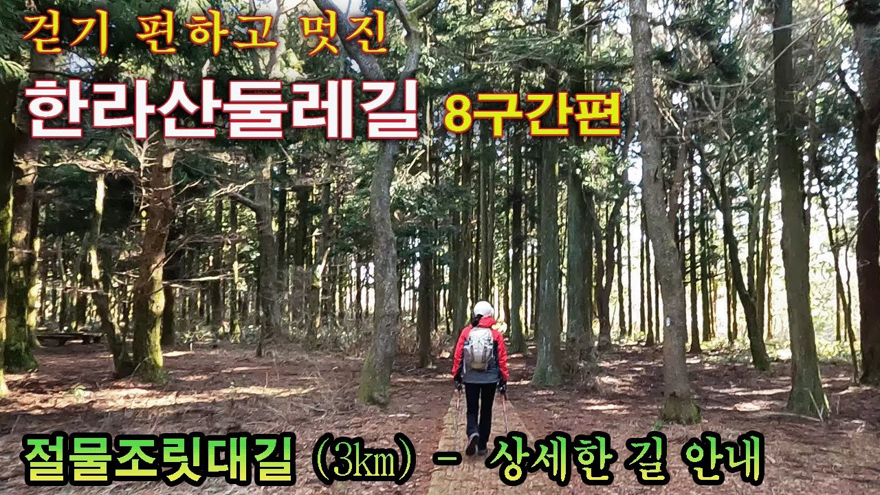한라산둘레길8구간 - 사려니숲~절물휴양림, 3km 걷기 편한 구간