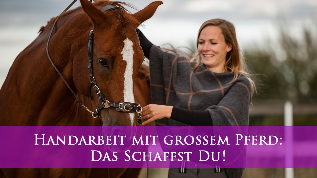 Grosses Pferd, kleiner Mensch - ein Problem in der Handarbeit?