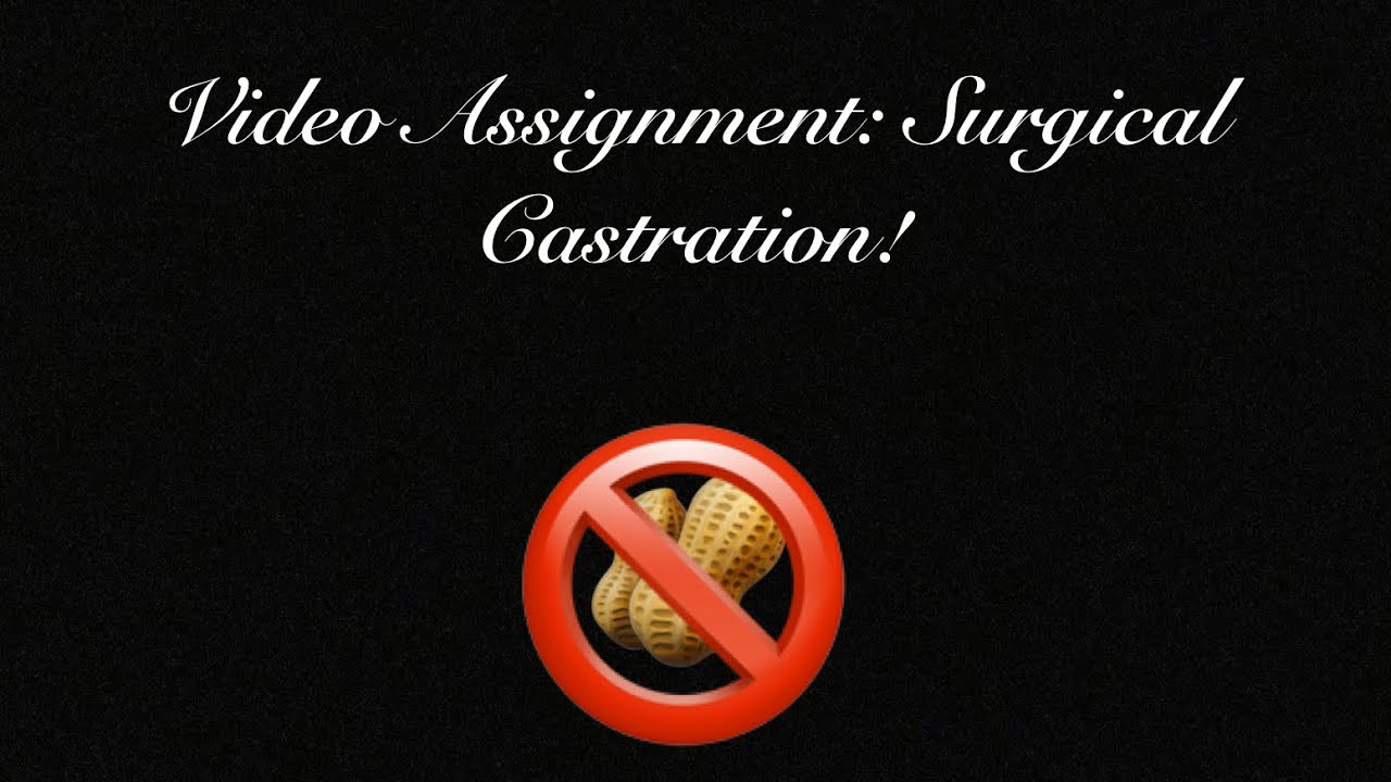 Video Assignment 7: Surgical Castration for Convicted Rapist!
