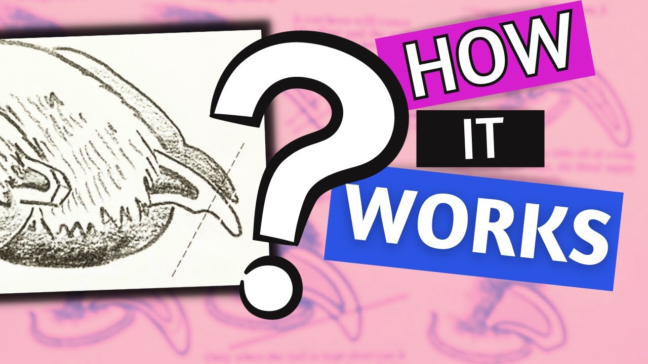 ТРУДИТЕСЬ избавиться от шерстки? Техника грумера для успеха!