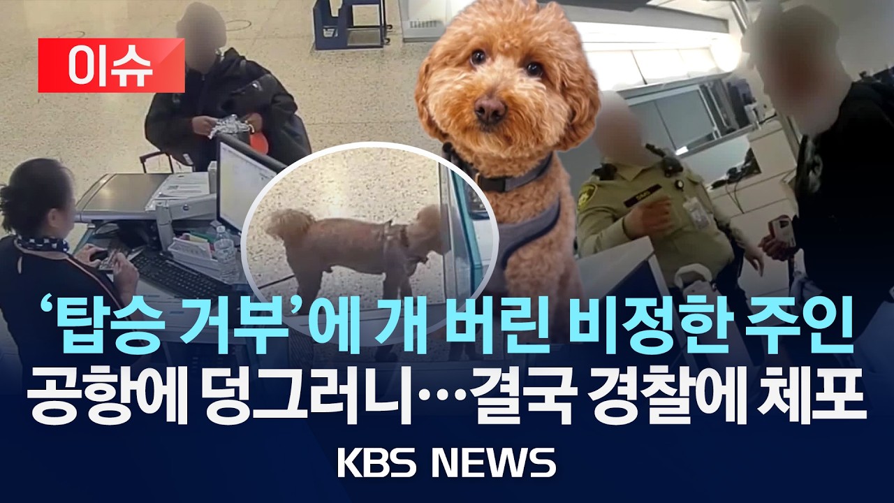 [이슈] 동반 탑승 거부되자…미 공항에 반려견 유기한 주인 체포/2026년 2월 20일(금)/KBS
