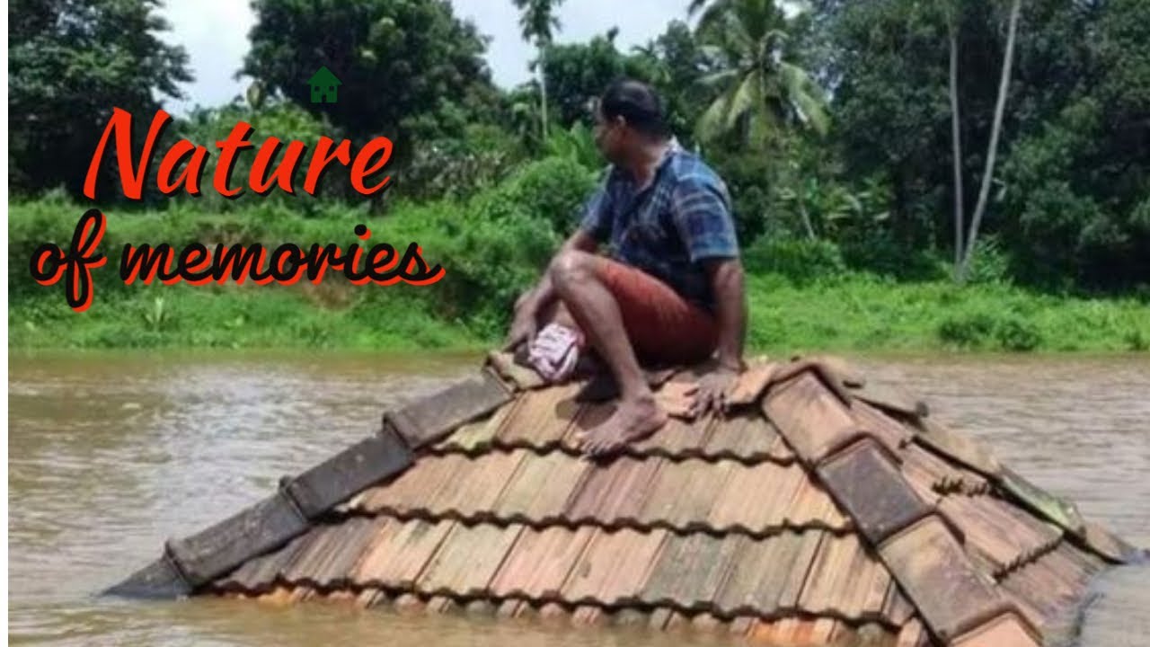 The Nature of Memories - Dhruv Goel