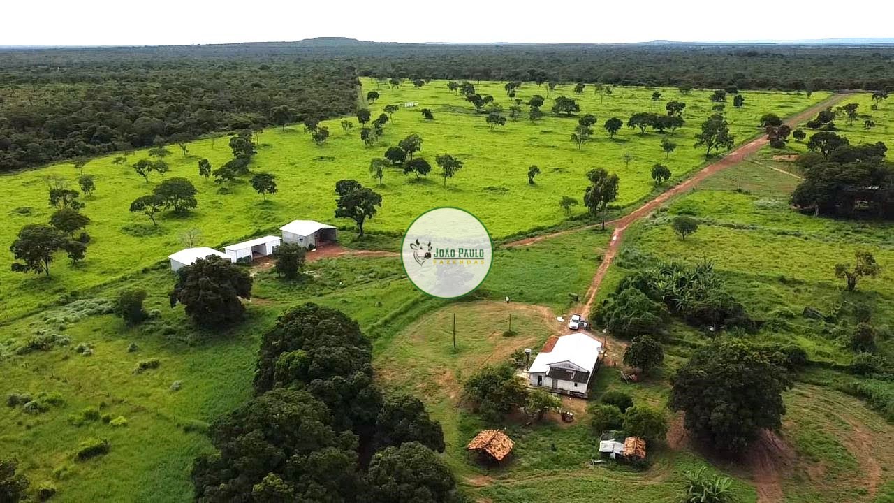 FAZENDA A VENDA EM ARINOS-MG - 247 HECTARES
