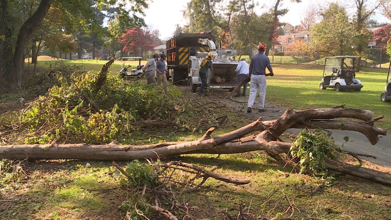 Walnut Lane Welcomes Some Generous TLC