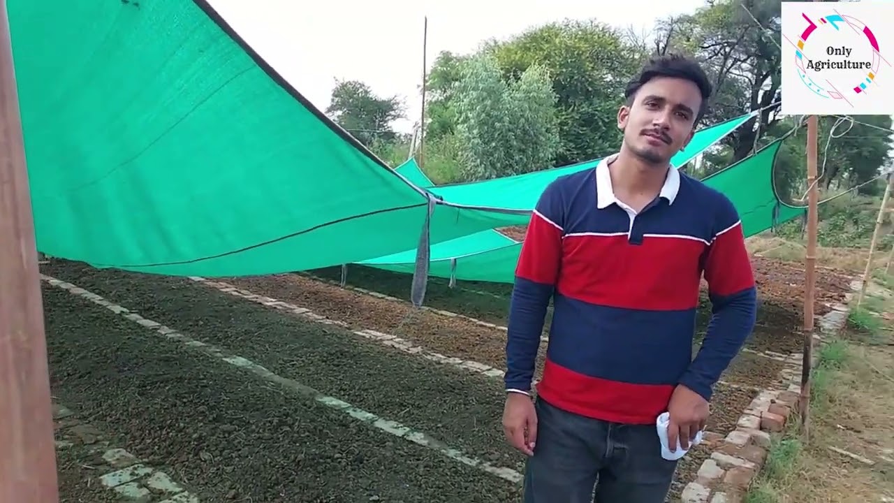 ਗੰਡੋਆ ਖਾਦ ਦਾ ਕੰਮ: ਕਿੰਨਾਂ ਨਫਾ ਕਿੰਨਾ ਨੁਕਸਾਨ, ਸੱਚ ਜਾਣੋ ਉਸਤੋਂ ਜਿਸ ਨੇ ਕੀਤਾ ਹੈ ਇਹ ਕੰਮ केंचुआ खाद: