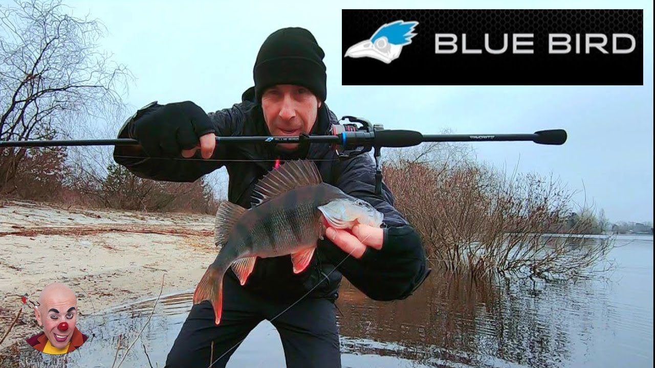 ⚡ BLUE BIRD TRAVEL BB1-804LT - мій помічник у подорожах ✈⚡