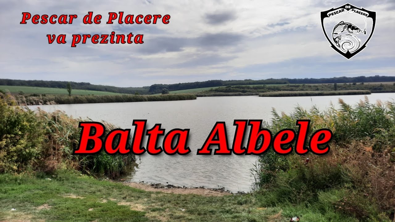 BALTA ALBELE / Prezentarea Baltii