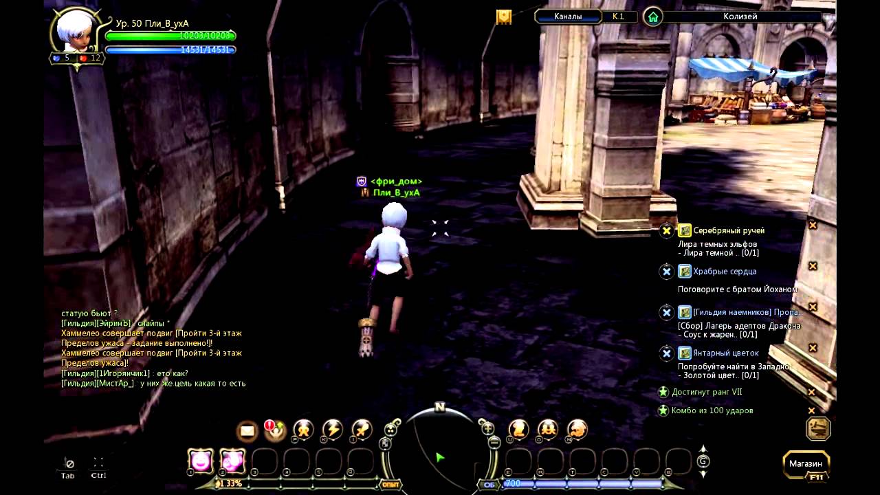 Dragon Nest PvP Крестоносец vs Берсерка