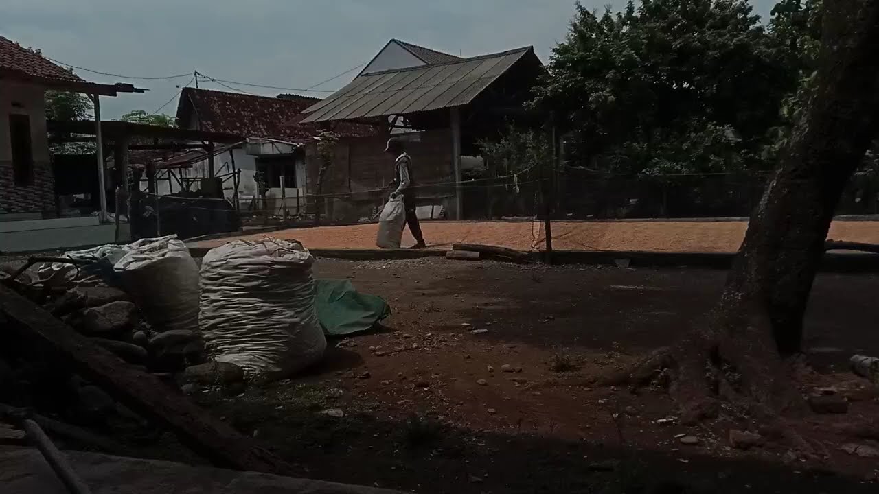 DANGDUT ORGEN TUNGGAL MANUAL TAK TUNG KOLEKSI LAGU LAWAS ORIGINAL TERLARIS