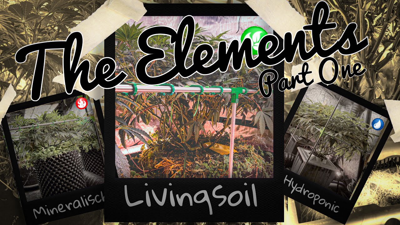 Die Elemente im Überblick Teil 1, die Livingsoil für 