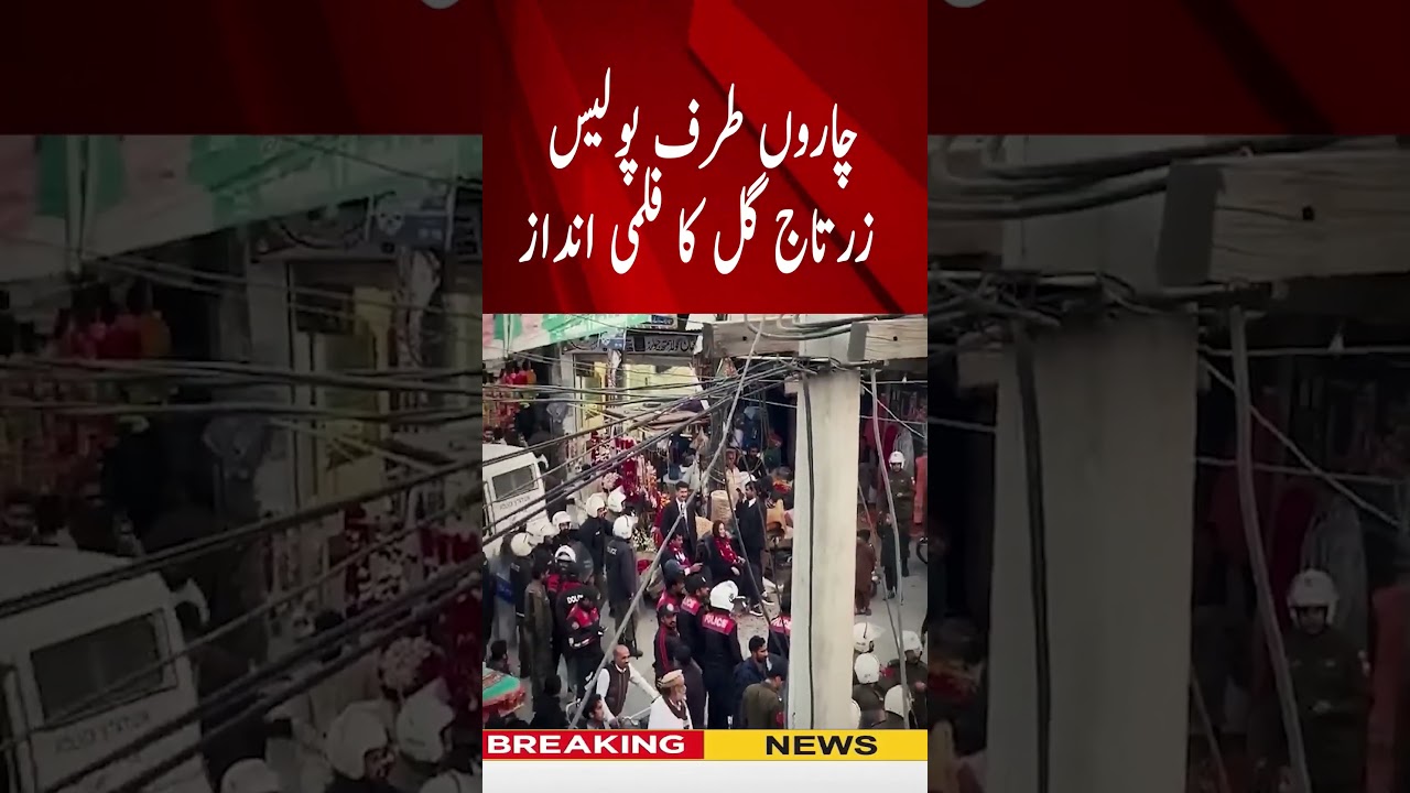 PTI'S ZARTAJ GULL VS POLICE VIDEO GOES VIRAL #pti #imrankhanpti #news #qaidi804  #imrankhan #pmln