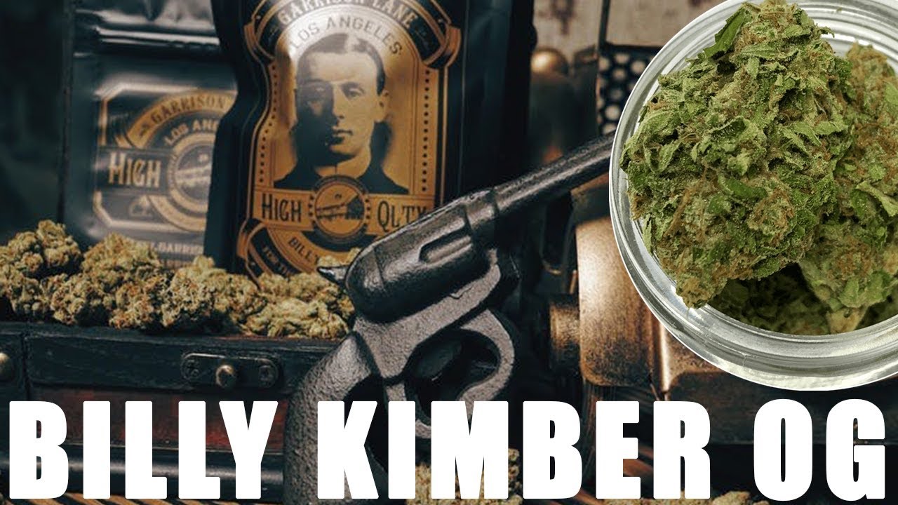 Billy Kimber OG Kush STRAIN REVIEW⛽️