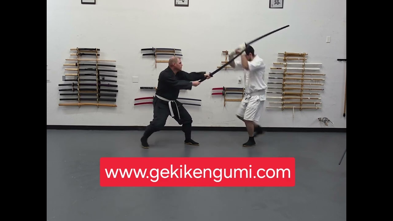 Kenjutsu training #kenjutsu #gekiken #martialarts 