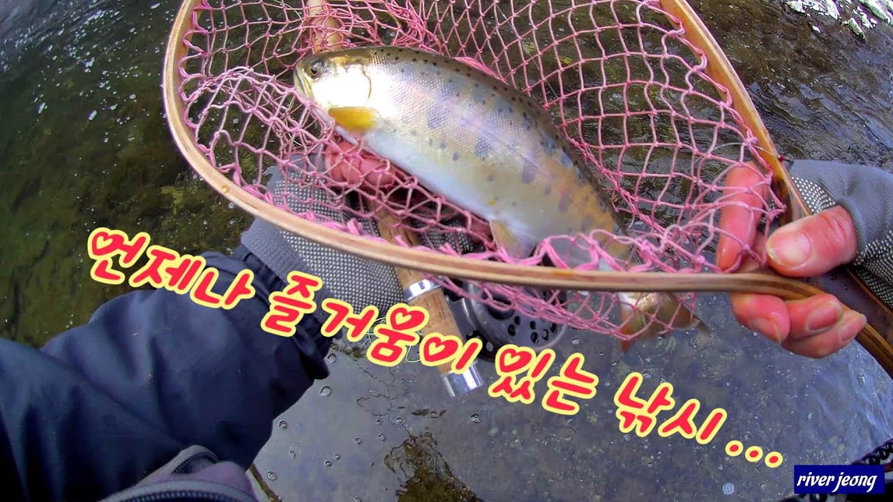 fly fishing Korea   260208 언제나 즐거움이 있는 낚시...