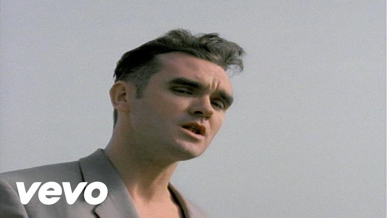 Morrissey - Certain People I Know