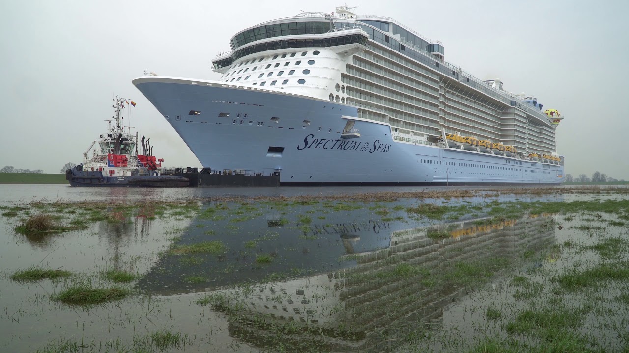Spectrum of the Seas | Fighting against strong wind and spectacular ship horn during conveyance