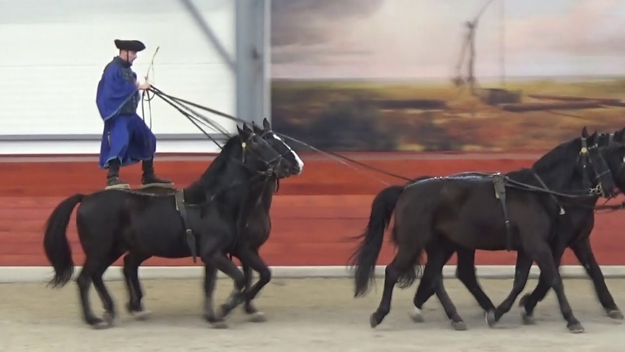 Lázár Lovaspark bemutató
