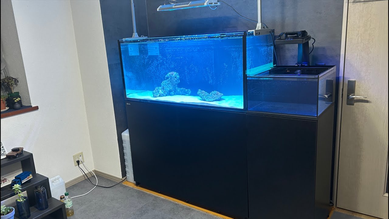 【reefer350G3 & コネクトサイドタンク】 東京都世田谷区