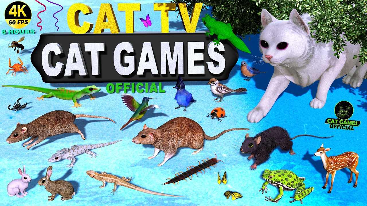 VIDEOS FOR CATS TO WATCH 🐾 CAT GAMES 3D | ULTIMATE CAT TV BIRDS, MOUSE & BUGS 😻 4K 60FPS 8 HOURS