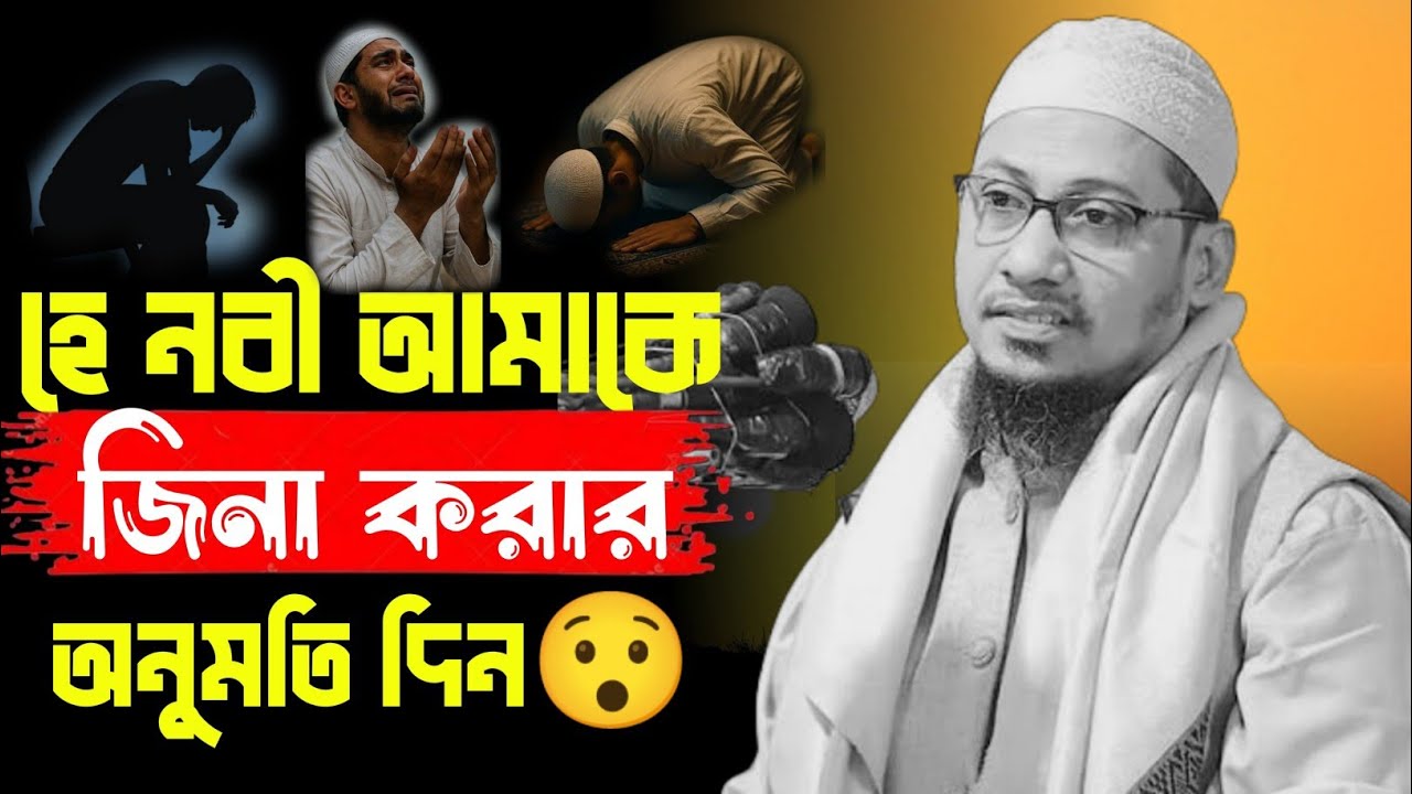 হে নবী আমাকে জিনা করার অনুমতি দিন||আনিসুর রহমান আশরাফী|Anisur Rahman Ashrafi.Anisur