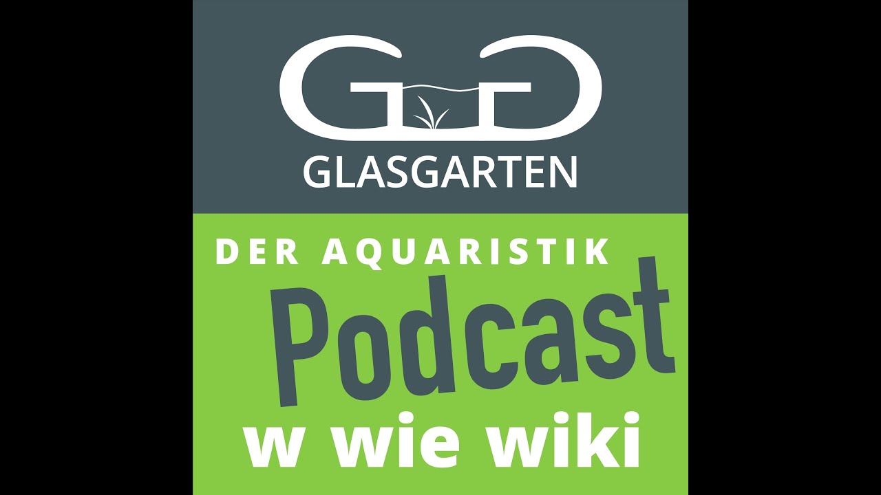 Die Tigergarnele #Wiki Podcast 113