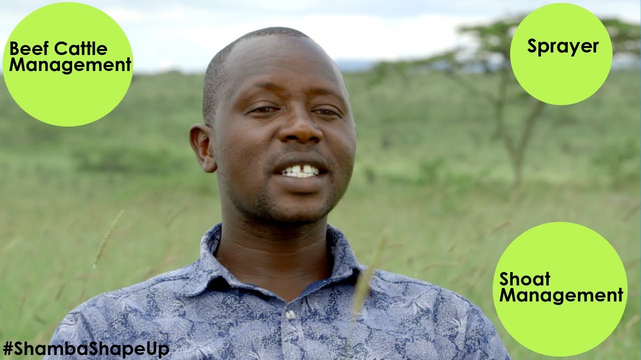 Shamba Shape Up Season 15 – Episode 16: Shoats, Beef Cattle, Sprayer & Shamba ni Biz Drama (Swahili)