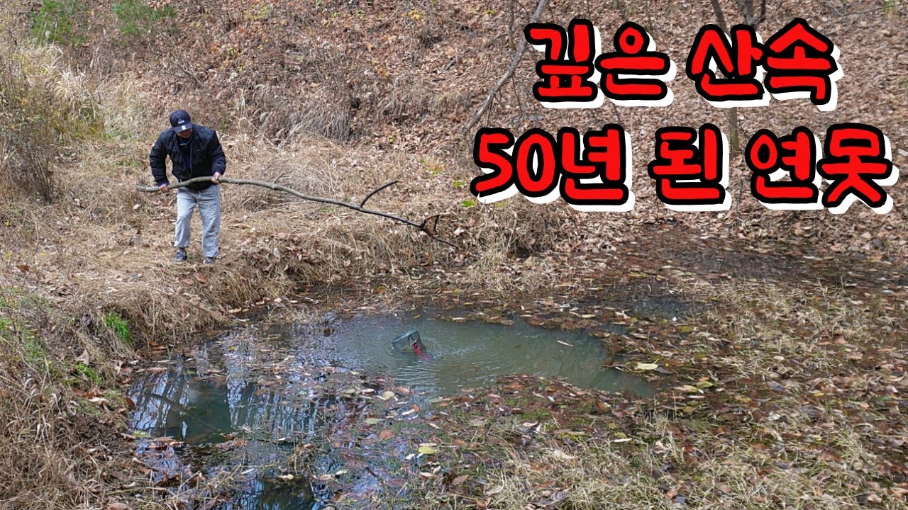 해발 400미터 연못에 이 녀석들이 살고 있을 줄은 상상도 못했습니다...!!
