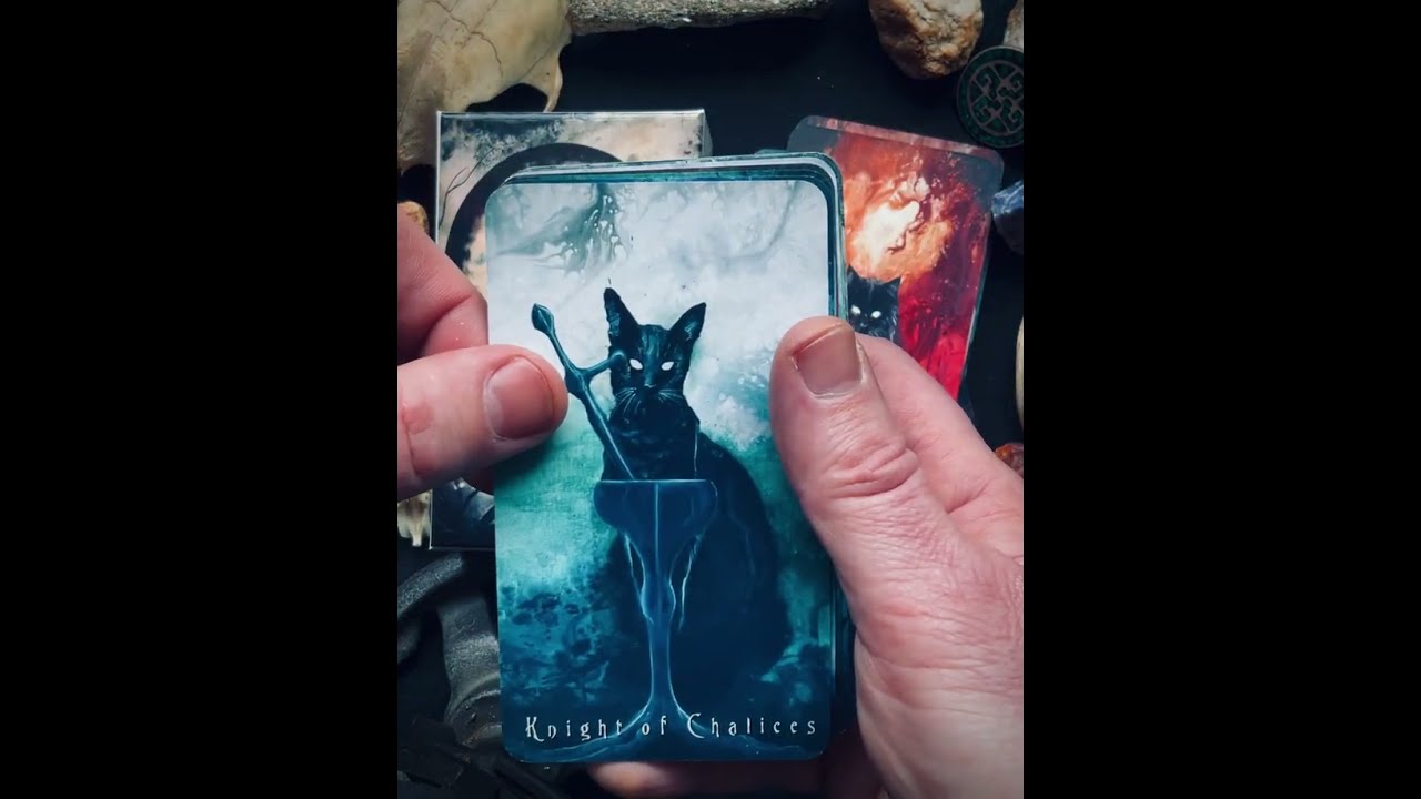 Every Single Card in the Haunted Cat Tarot Deck