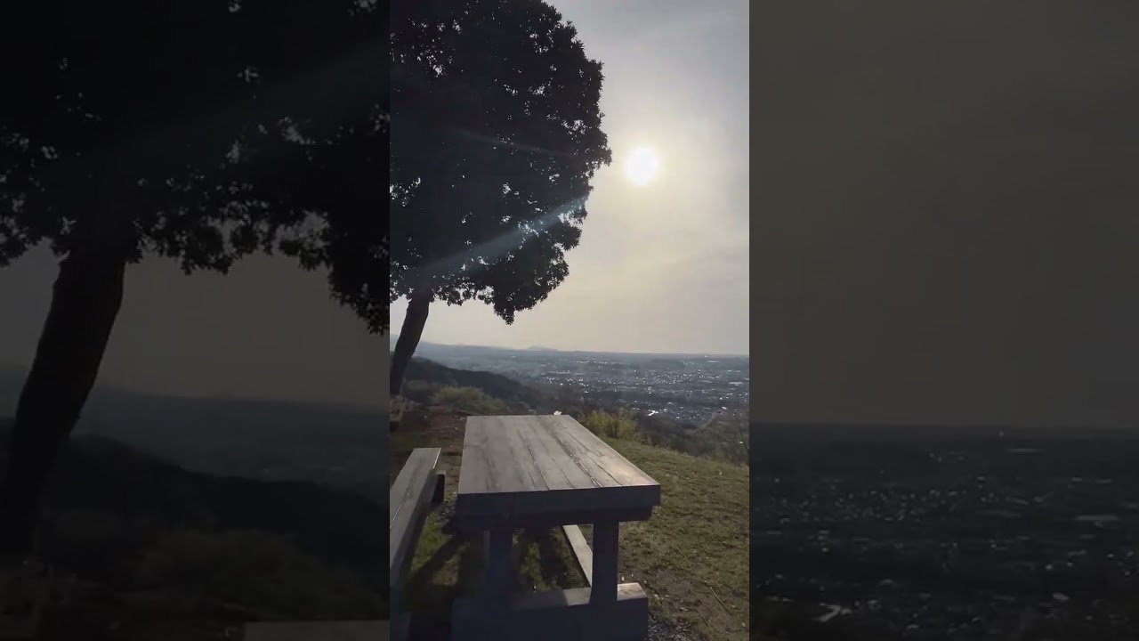 嶽山山上（大阪府富田林）