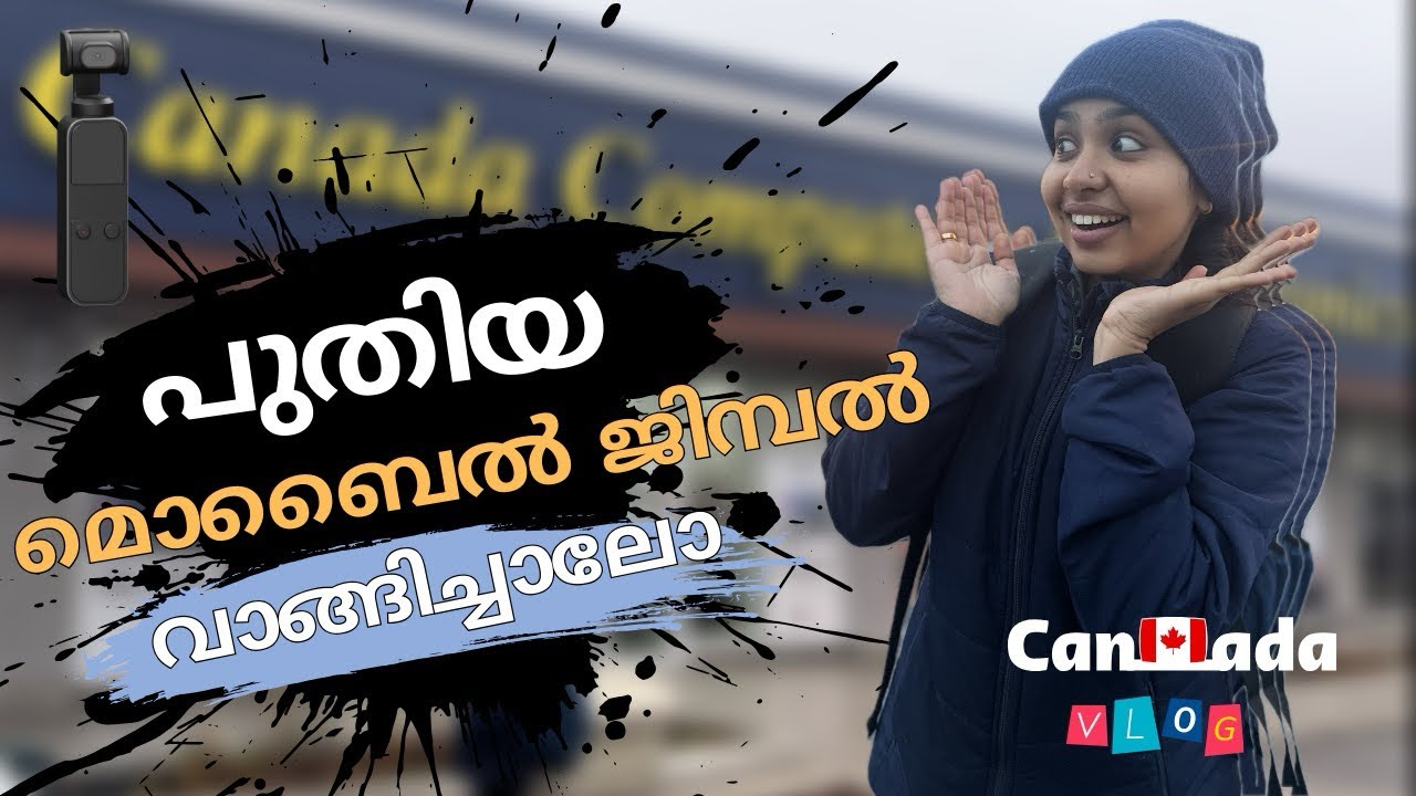 $1 നു ഉപ്പുതൊട്ട് കർപ്പൂരം വരെ | Canada Shopping Vlog | Its Hari Aki