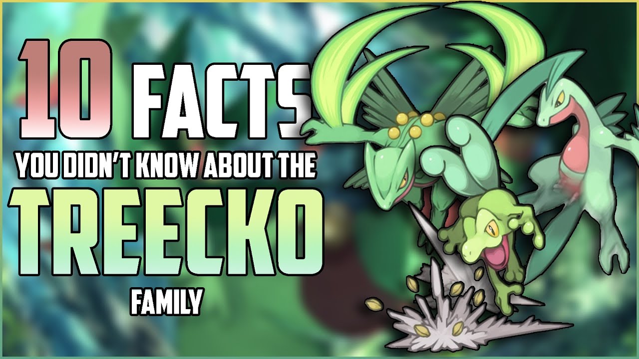 10 FACTS You DIDN'T KNOW About The TREECKO Family!