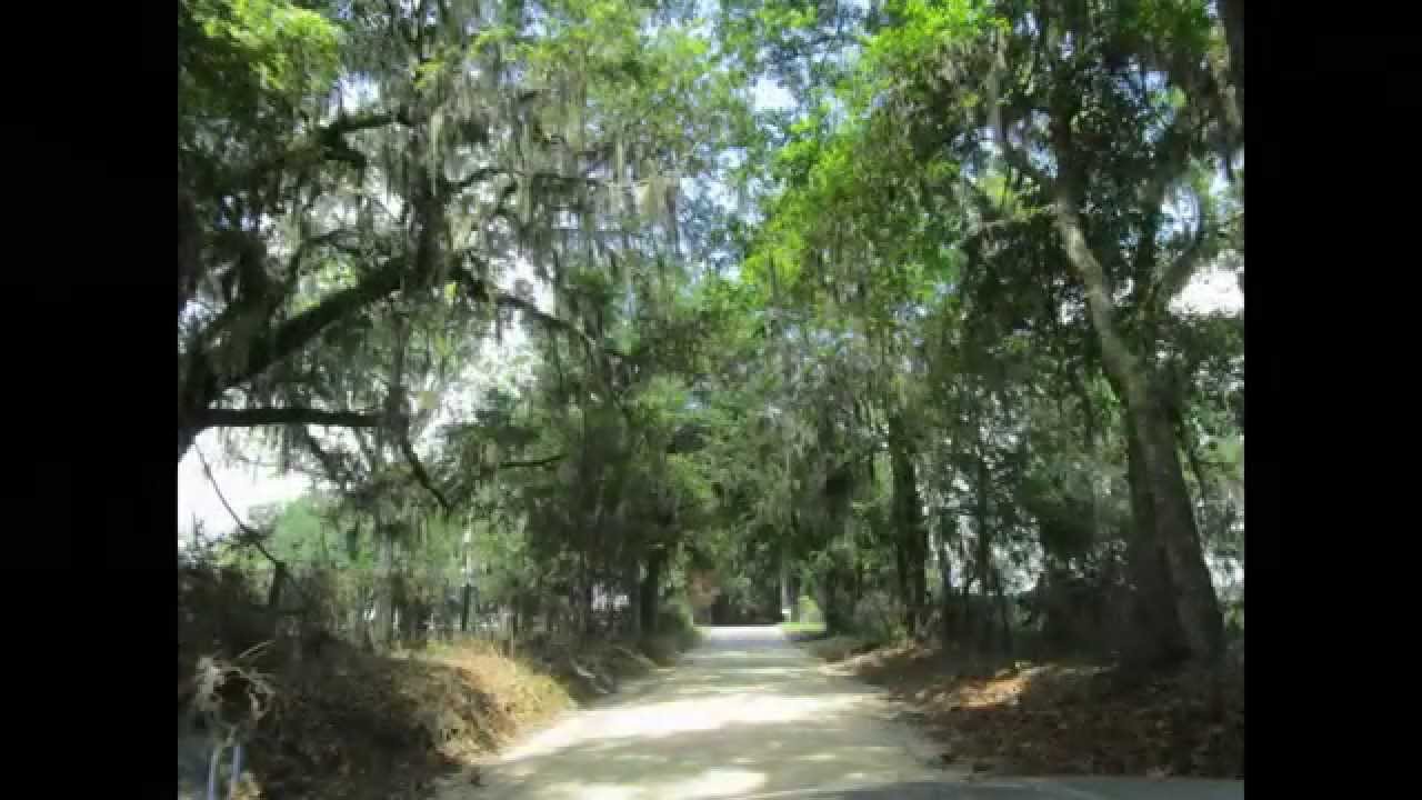 Old Bellamy Road Columbia County Florida