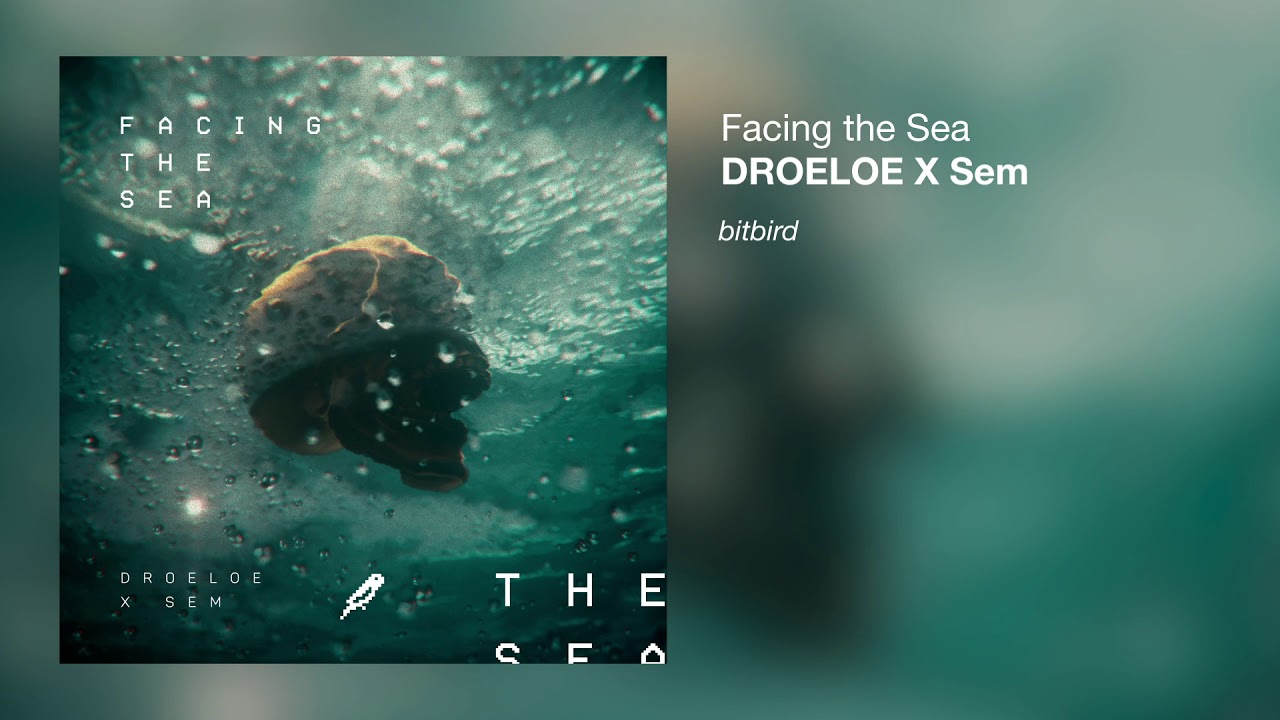 DROELOE x Sem - Facing the Sea