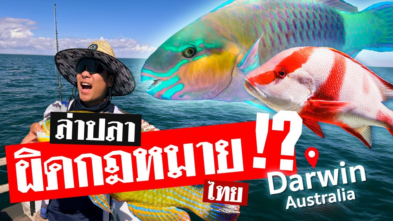 ล่าปลาผิดกฎหมายไทย ล่าไกลถึงออสเตรเลีย จะอร่อยขนาดไหน ?! [สาระตั้ม -Thumbntk]