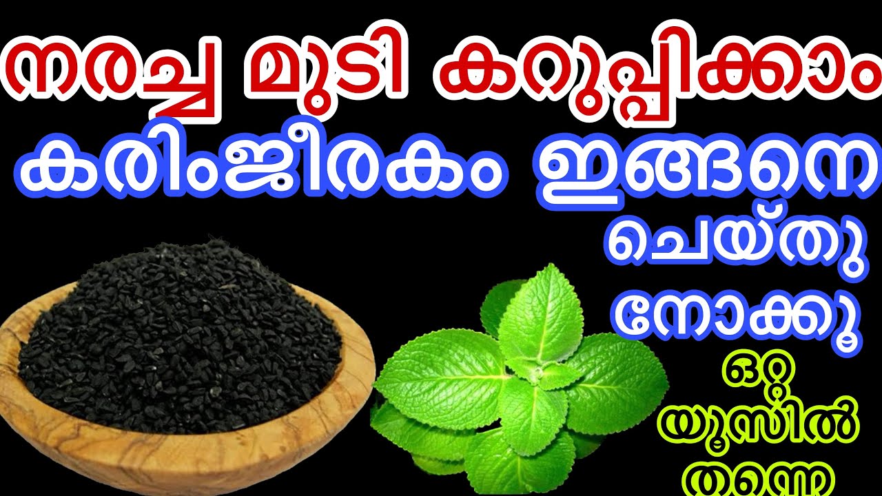 നരച്ച മുടി കറുപ്പിക്കാൻ കരിംജീരകവും പനികൂർക്കയും കൊണ്ട് ഇങ്ങനെ ചെയ്തു നോക്കൂ