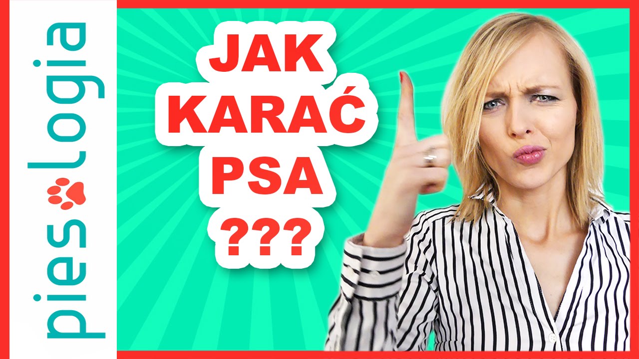 jak karać psa?