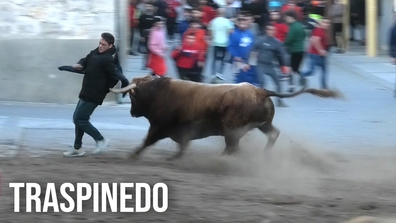 Traspinedo 2024 Cuatro Toros de Cajón