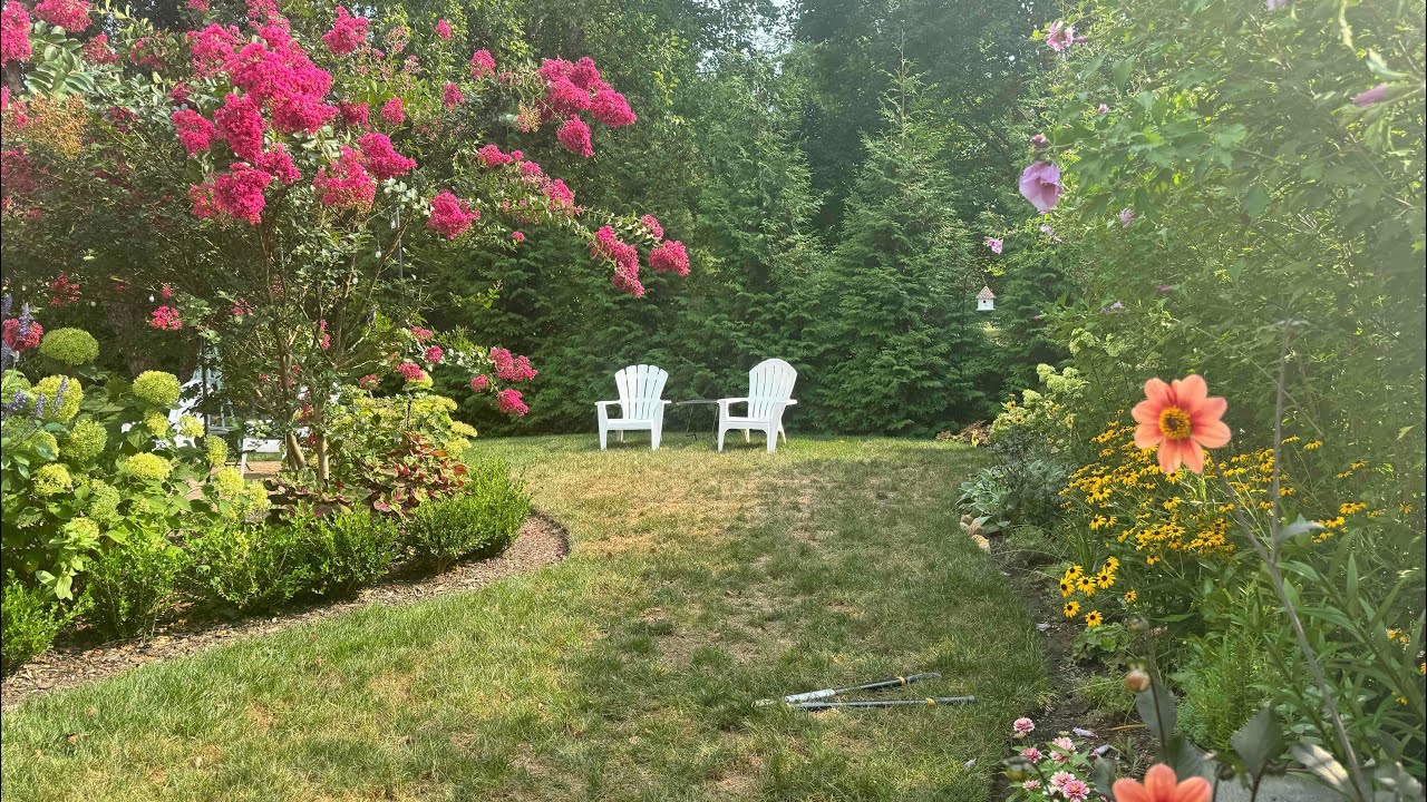 Early August Garden Tour!  Hummingbirds Galore And A Very Colorful Summer Garden!🌸🌼🌺