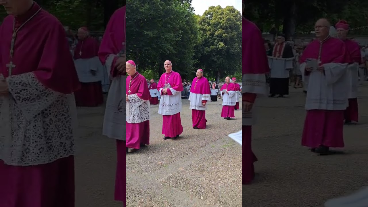 GRAND PARDON  SAINTE-ANNE d'auray 400ans avec le Cardinal Sarah.🙏🙏🙏❤️❤️❤️