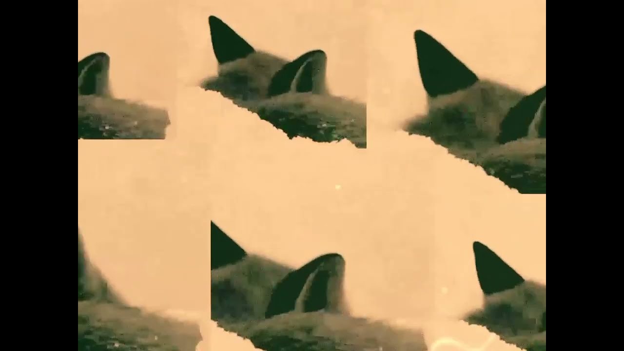 El Libro - Matumati & Antena Ft. Nico Mazzurco | Música de Alto Vuelo
