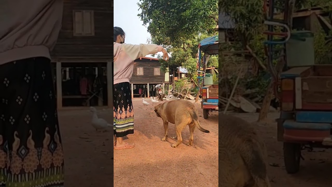 รวมคลิปย้อยเยิ้มฮาๆกันยาวๆเลยจ้า