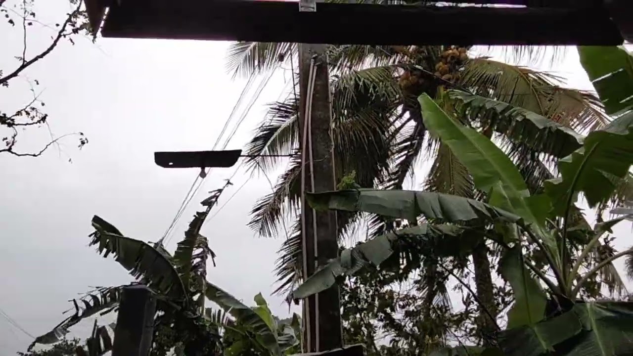 Tropical Storm Basyang (Penha) in Bohol Philippines Pt 2