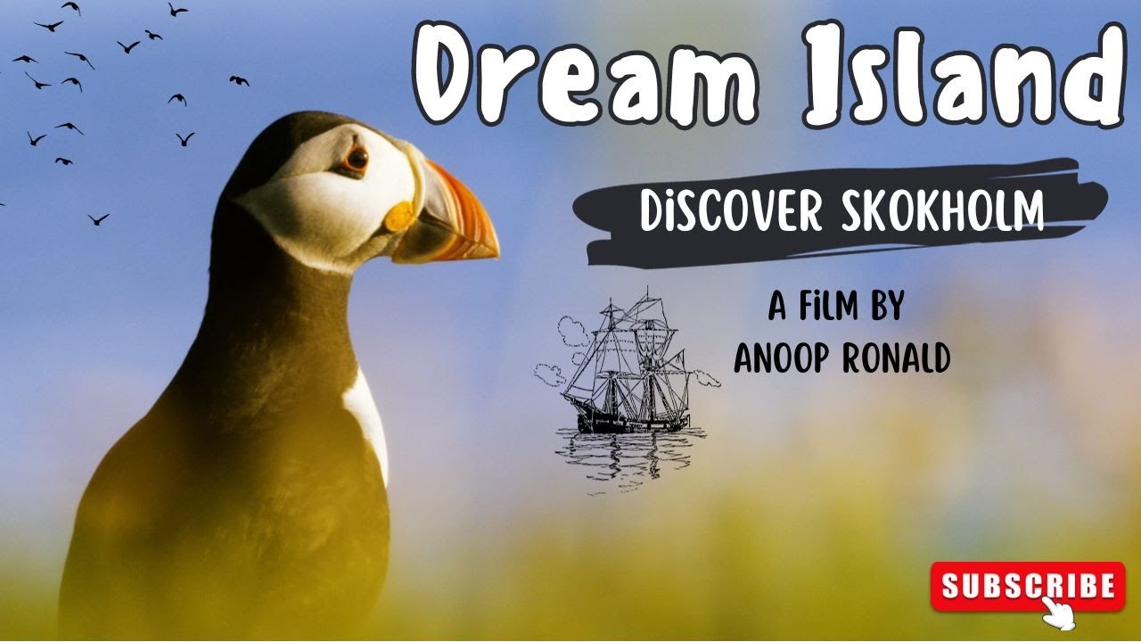 Dream Island - Discover Skokholm