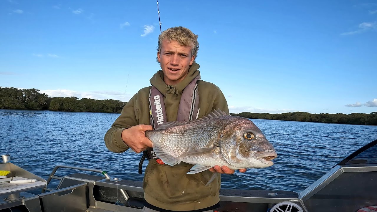 New Zealand Harbour Fishing At Its BEST - CATCH N COOK In The Mangroves