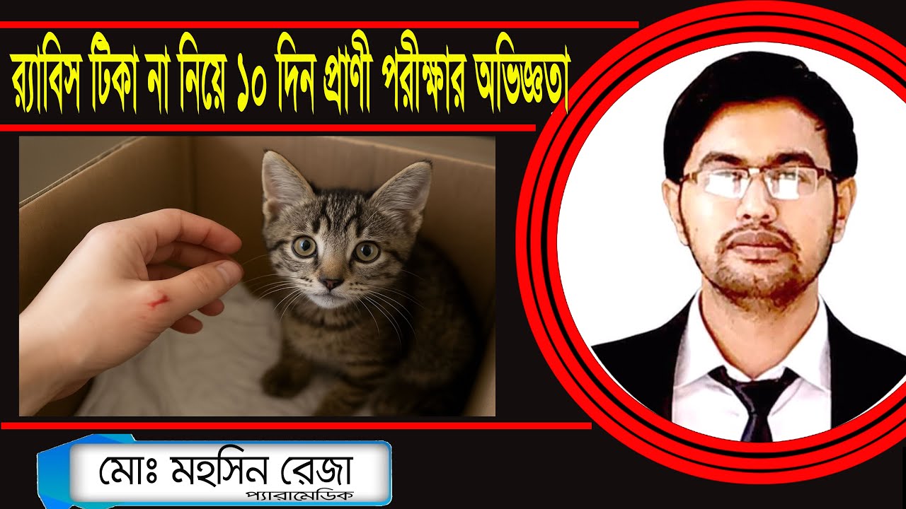 🐾 জলাতঙ্ক টিকা না নিয়ে ১০ দিন দেখেছি বিড়ালকে — বিজ্ঞানভিত্তিক অভিজ্ঞতা 🧪