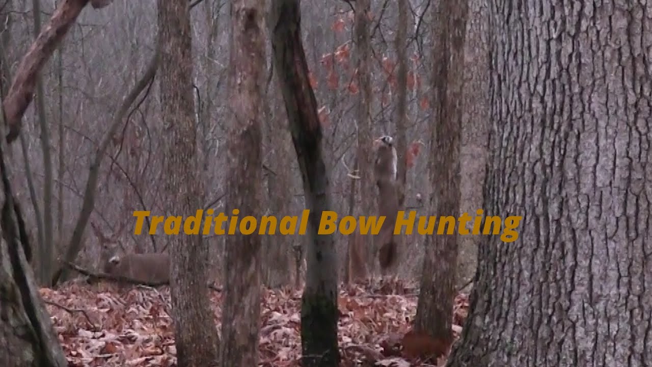 Traditional Bowhunt On The Ground - Late Season Michigan Public Land