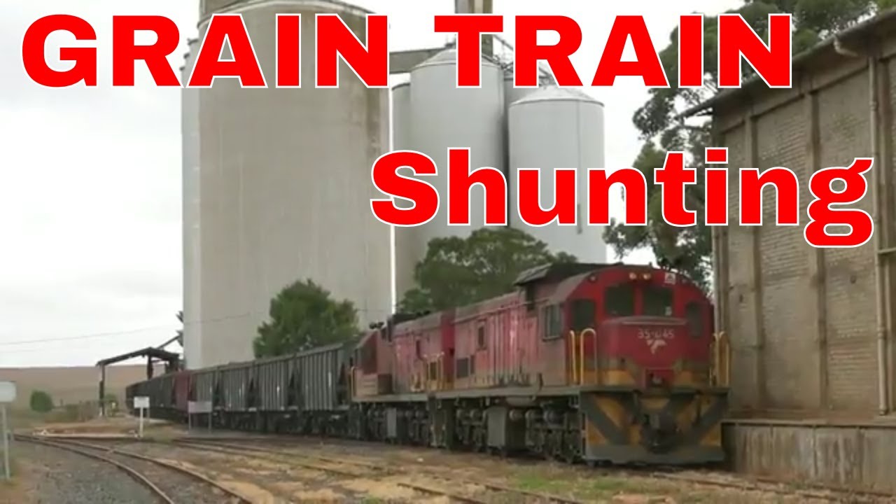 SHUNTING Grain Trains at NAPIER in the OVERBERG beyond CALEDON Transnet Diesels | Train South Africa