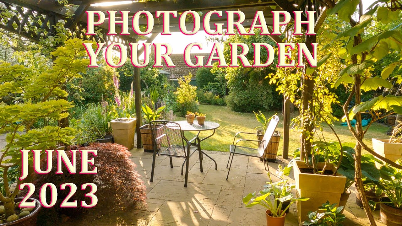 How to Photograph Your Garden - and Early Summer Garden Tour