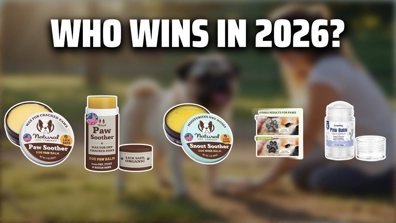 The Top 5 Best Pug Nose Butter in 2026 - Must Watch Before Buying!
